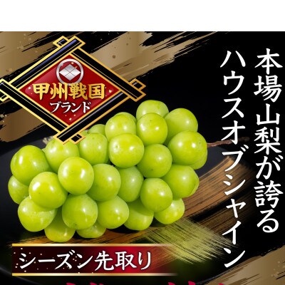 【本場山梨の旬を堪能】今逃せば1年待ちの幻のハウスオブシャインマスカット2026年6月中旬発送【配送不可地域：離島】【1495008】