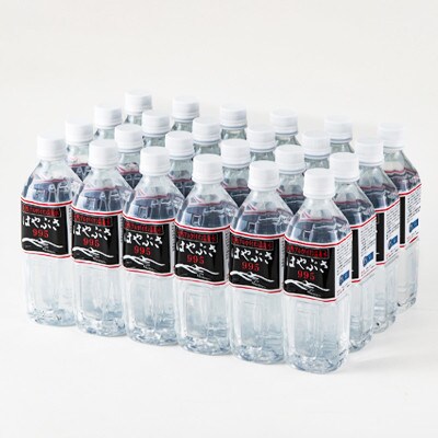【毎月定期便】りょう泉はやぶさ　995〈500ml×24本〉全12回【4058674】