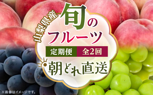 【発送月固定定期便】【2026年先行受付】旬のフルーツ定期便 桃2kg・巨峰/シャイン全2回【配送不可地域：離島・沖縄県】【4076702】