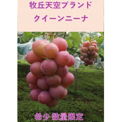 【2026年先行受付】2026年10月上旬発送「牧丘天空の丘クイーンニーナ」約1kg(2〜3房)【配送不可地域：離島・沖縄県】【1473343】