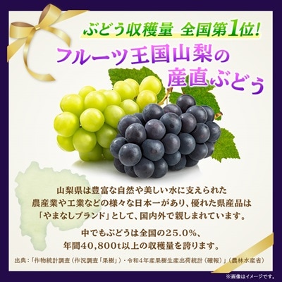 【2026年発送】山梨市産「巨峰(種なし)」詰め合わせ(約500g×3房)【配送不可地域：離島・沖縄県】【1117300】