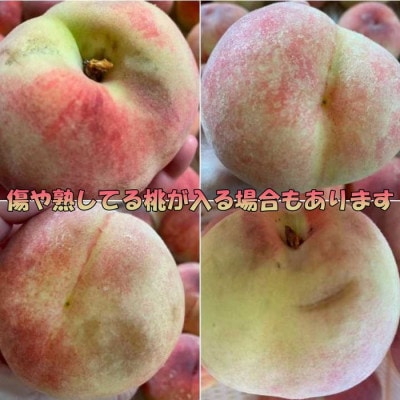 2026年 先行受付【訳あり】桃 2kg以上【配送不可地域：離島】【1630610】