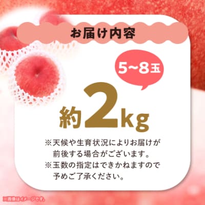 【2026年発送】 桃 約2kg (5玉~8玉) 厳選 ! 池田青果の もも【配送不可地域：離島・沖縄県】【1280520】