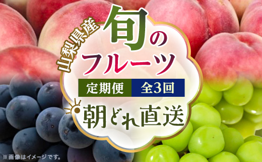 【発送月固定定期便】【2026年先行受付】フルーツ定期便 桃2kg 巨峰1kg シャイン1kg全3回【配送不可地域：離島・沖縄県】【4077987】