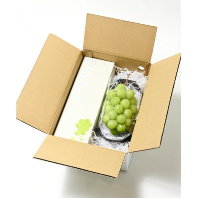 【先行予約/2026年8月下旬より発送】山梨県産シャインマスカット+SINKA -真果- セット【配送不可地域：離島・沖縄県】【1694753】