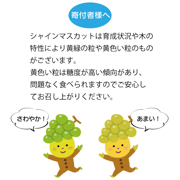 ã2026幎çºé å
è¡åä»ã蟲çŠé£æº ã·ã£ã€ã³ãã¹ã«ãã2æ¿(åèš1kgçšåºŠ)ãé
éäžå¯å°åïŒé¢å³¶ãã1271031ã