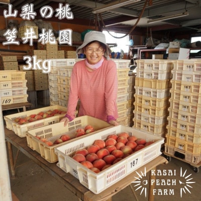 【2026年発送先行受付】厳選朝採り桃 山梨の笠井桃園の桃 3kg【配送不可地域：離島】【1456517】