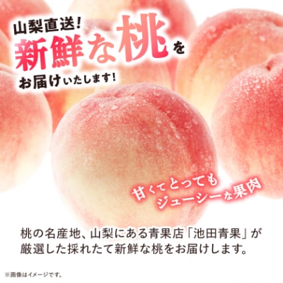 【2026年発送】 桃 約2kg (5玉~8玉) 厳選 ! 池田青果の もも【配送不可地域：離島・沖縄県】【1280520】