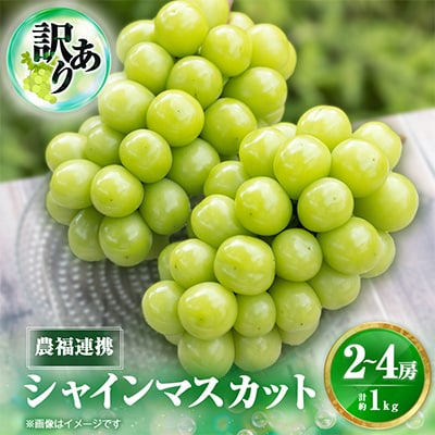2026年先行受付【見た目は訳あり?味は満足!】農福連携シャインマスカット計1kg【ご家庭用】【配送不可地域：離島】【1679907】