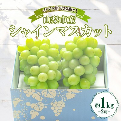 〈2026年先行予約〉大房で食べ応え満点!「山梨県山梨市産 シャインマスカット 2房 約1kg」【配送不可地域：離島】【1513030】