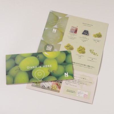 【先行受付2026年発送】 シャインマスカット 粒 約2.8kg 【訳あり】ぶどう 粒カット【配送不可地域：離島・沖縄県】【1687784】