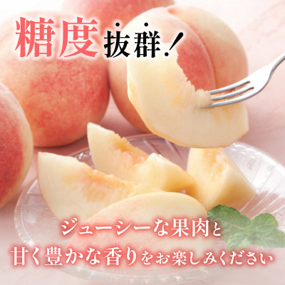 ã2026幎çºé å
è¡åä»ã山梚æ¬ã®æ¡ çŽ2kg(5ã7ç)ãé
éäžå¯å°åïŒé¢å³¶ã»æ²çžçãã1017345ã