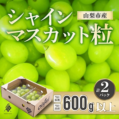 【先行受付2026年発送】 シャインマスカット 粒 600g オーバー 【訳あり】 ぶどう 粒カット【配送不可地域：離島・北海道・沖縄県・四国・九州】【1579980】
