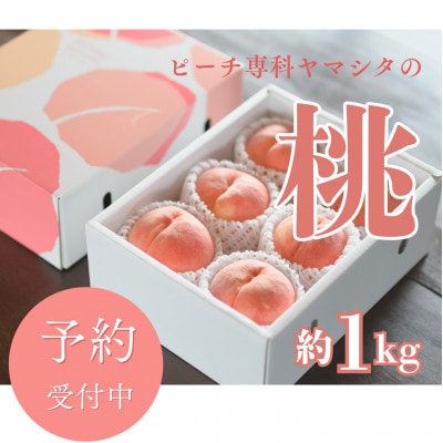 先行受付!【2026年7月発送開始】桃の産地山梨からお届け　ピーチ専科ヤマシタの桃　1kg【配送不可地域：離島】【1707808】