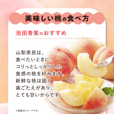 縲2026蟷エ逋コ騾√ 譯 邏3kg (8邇峨12邇) 蜴ウ驕ク ! 豎逕ー髱呈棡縺ョ 繧ゅb縲宣埼∽ク榊庄蝨ー蝓滂シ夐屬蟲カ繝サ豐也ク逵後代1280521縲