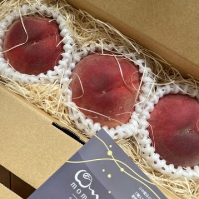 【まず出逢えない気品高い山加白桃】人気品種指定ギフト5年連続TV出演話題ブランド2026年7月下旬〜【配送不可地域：離島・北海道・沖縄県・中国・四国・九州】【1465316】