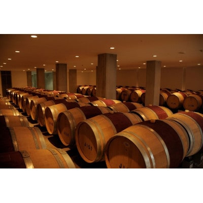 ã¯ã€ã³ 鎚å±
寺ã·ã©ãŒ ( èµ€ã¯ã€ã³ ) 750ml 1æ¬ã ã·ã£ããŒã»ã¡ã«ã·ã£ã³ åæ²Œã¯ã€ããªãŒ ããé
éäžå¯å°åïŒé¢å³¶ãã1298625ã