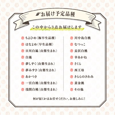 【発送月固定定期便】桃好きさん、集まれ〜!個性ある3種のももが楽しめる全3回【配送不可地域：離島・沖縄県】【4005028】