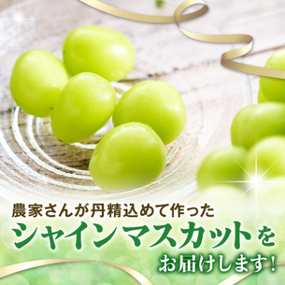 【2026年先行受付】やみつきシャインマスカット 1.5kg(3〜4房)【配送不可地域：離島】【1304377】