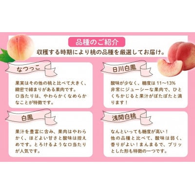 ã2026幎çºé å
è¡åä»ã山梚ç山梚åžç£ æ¡ 2kg (5ã8ç)ãé
éäžå¯å°åïŒé¢å³¶ã»æ²çžçãã1691260ã