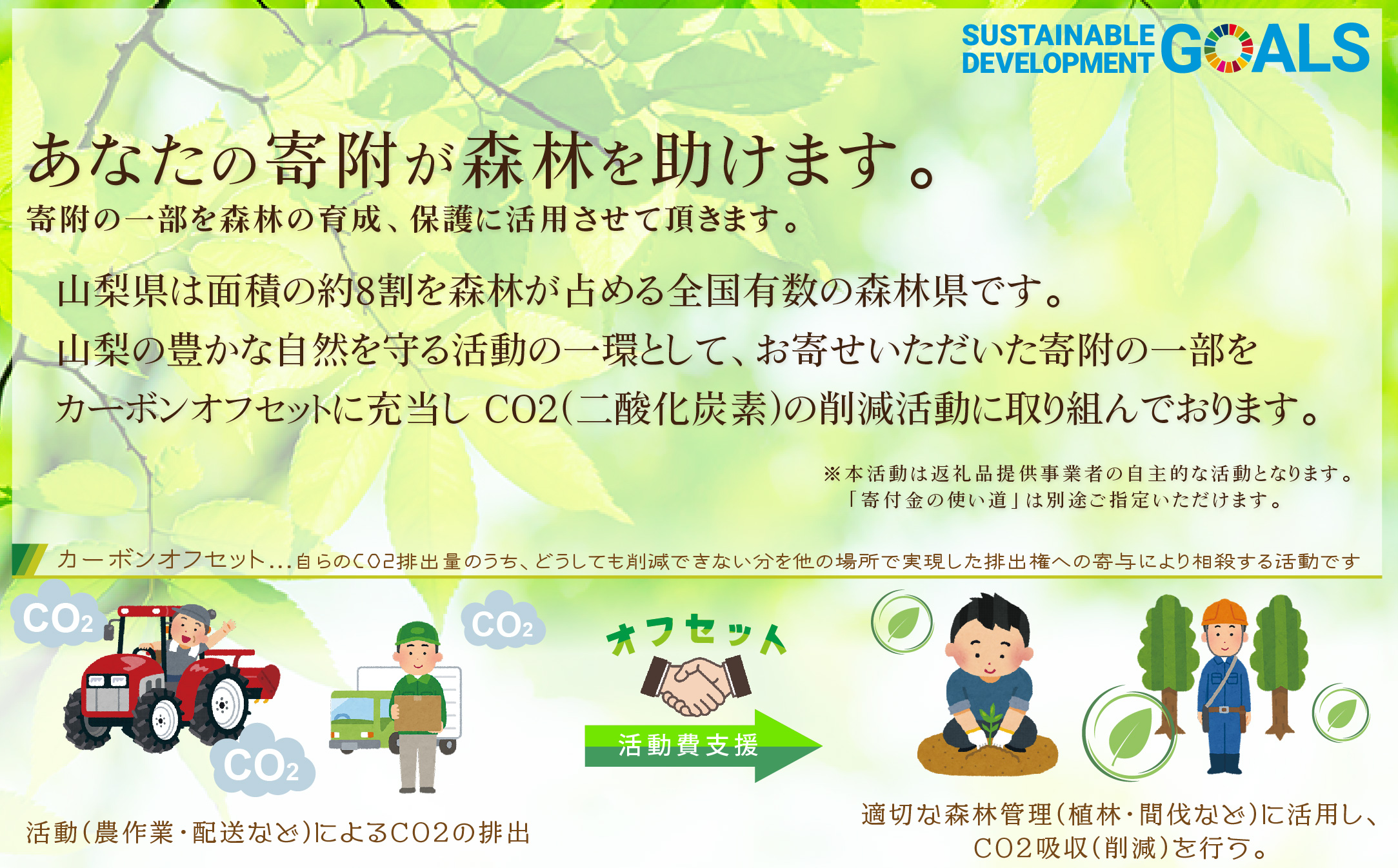 2026年 先行受付【訳あり】山梨もも2kg以上 5〜8玉 熟練農家厳選の旬の桃 ご家庭用【配送不可地域：離島・沖縄県】【1277692】