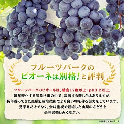 ã2026幎å
è¡åä»ãããªãŒã çŽ550gÃ3æ¿ å±±æ¢šåžç£ ãããªãŒã(çš®ãªã)ã è©°ãåãããé
éäžå¯å°åïŒé¢å³¶ã»æ²çžçãã1117301ã