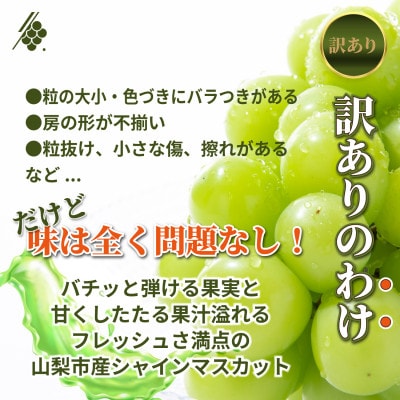 シャインマスカット 2〜3房 計1kg 訳あり ご家庭用【配送不可地域：離島・沖縄県】【1729248】