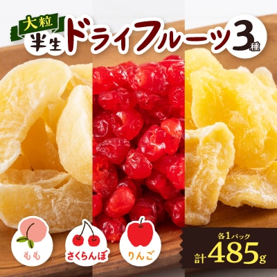 やまなし半生ドライフルーツ食べ比べ3種セット(もも/サクランボ/りんご)485g【1515244】