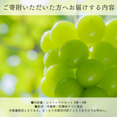 【2026年発送 先行受付】ご家庭用シャインマスカット 3房〜4房1.1kg以上 山梨県 山梨市産【配送不可地域：離島】【1535964】