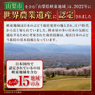 【2026年発送】山梨市産　巨峰　約1kg(2〜3房)【配送不可地域：離島】【1706556】