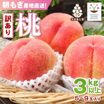 【2026発送予定】【訳あり品】ご家庭桃・朝もぎ産地直送・3kg以上【配送不可地域：離島】【1178167】