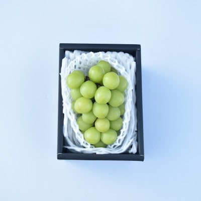 【発送月固定定期便】山梨市産　季節のフルーツ定期便全3回【配送不可地域：離島・沖縄県】【4069557】