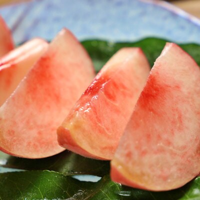 ãçºéæåºå®å®æäŸ¿ã2026幎å
è¡åä»ããã«ãŒãã®ããå°éåºãéžã¶å±±æ¢šåžã®å³éžãã«ãŒãå®æäŸ¿ãå
š3åãé
éäžå¯å°åïŒé¢å³¶ã»æ²çžçãã4064103ã