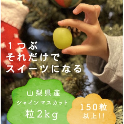 【年内発送】冬に食べられる シャインマスカット 粒 (2kg以上) 山梨産【配送不可地域：離島・沖縄県】【1560612】
