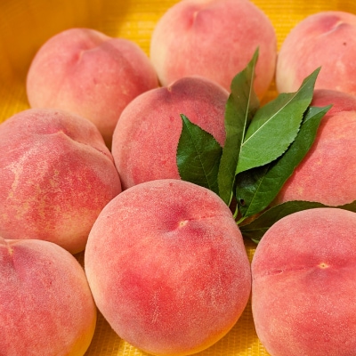 【2026発送予定】【訳あり品】ご家庭桃・朝もぎ産地直送・3kg以上【配送不可地域：離島】【1178167】