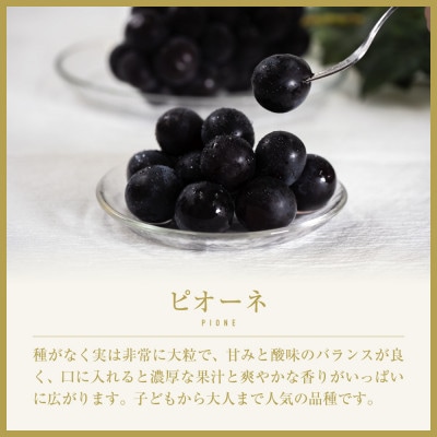 【2026年発送先行受付】山梨県山梨市産　旬の採れたてピオーネ　約1kg　2〜3房【配送不可地域：離島】【1459463】