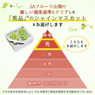 シャインマスカット(8房)【配送不可地域：離島】【1300099】