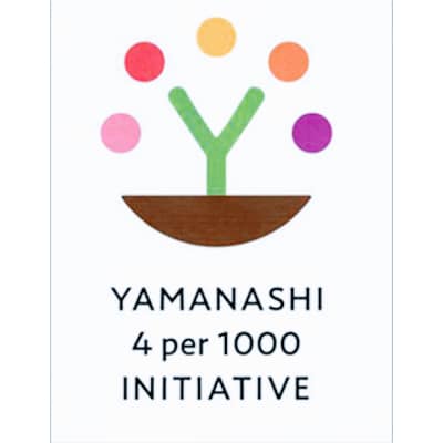 【2026発送予定】数量限定!【高級桃桐箱入り】8〜9玉入り　山梨市産地直送　約3kg箱【配送不可地域：離島】【1178160】