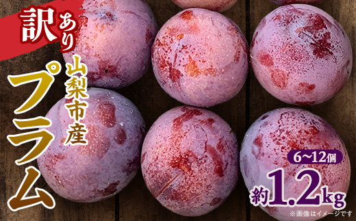 【先行受付】訳ありプラム(すもも) 約1.2kg(6〜12個)【配送不可地域：離島】【1714479】