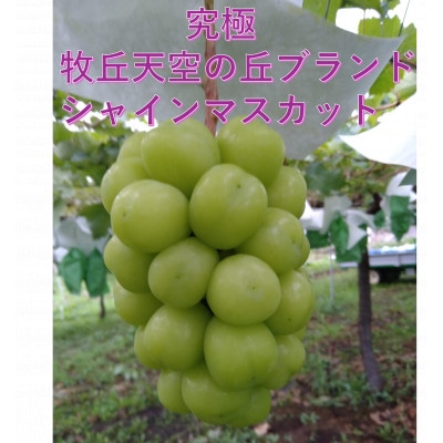 ã2026幎å
è¡åä»ãè¶
åžå°ãç§äžå€©ç©ºã®äžãã©ã³ããã·ã£ã€ã³ãã¹ã«ãããã¡ããªãŒãã©ãšãã£ãŒã»ããããé
éäžå¯å°åïŒé¢å³¶ãã1708288ã