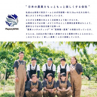 2026年先行受付　山梨県産 桃 白鳳系 2kg以上(5〜8玉) フルーツ王国・山梨から産地直送【配送不可地域：離島・沖縄県】【1137260】