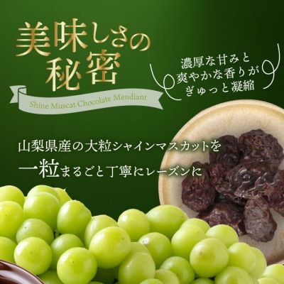 シャインマスカットレーズンのチョコレートマンディアン 10個入 山梨県産シャインマスカット使用【1697053】