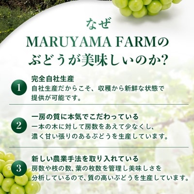 【先行受付 2026年発送】農林水産大臣賞受賞!!シャインマスカット 2房 1kg以上【配送不可地域：離島】【1143545】