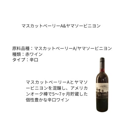 東晨洋酒 マスカットベーリーA&ヤマソービニヨン 無添加ワイン【1706045】