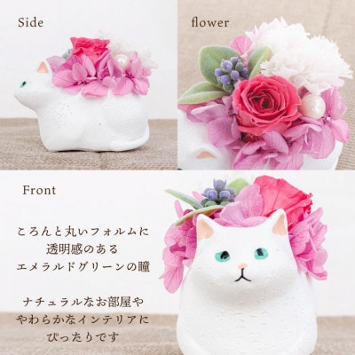 くつろぎ猫(白猫)プリザーブドフラワー 〜ネコ好きの方への贈り物に〜【1716000】