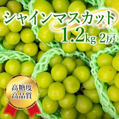 シャインマスカット 計1.2kg(2房)【配送不可地域：離島】【1591155】