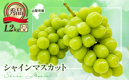 【2026年発送　先行受付】大人気!シャインマスカット秀 1.2kg(2〜3房)【配送不可地域：離島】【1442579】