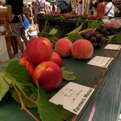 【海外セレブも唸る】糖度16度以上わずか5%しか収穫されない樹上完熟ブランド桃2026年7月中旬発送【配送不可地域：離島・北海道・沖縄県・中国・四国・九州】【1464205】