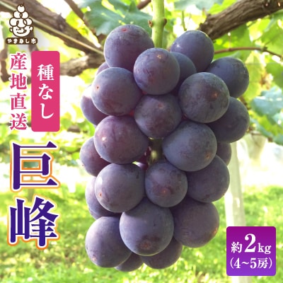 2026年先行受付 銀河農園まきおかの甘くてジューシーな巨峰(種なし)約2kg(4〜5房)【配送不可地域：離島】【1111661】