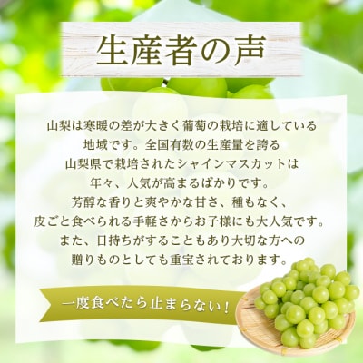 2026年発送 山梨県産 シャインマスカット 約1kg(2〜3房) 山梨が誇る人気果物 熟練農家厳選【配送不可地域：離島・沖縄県】【1272524】